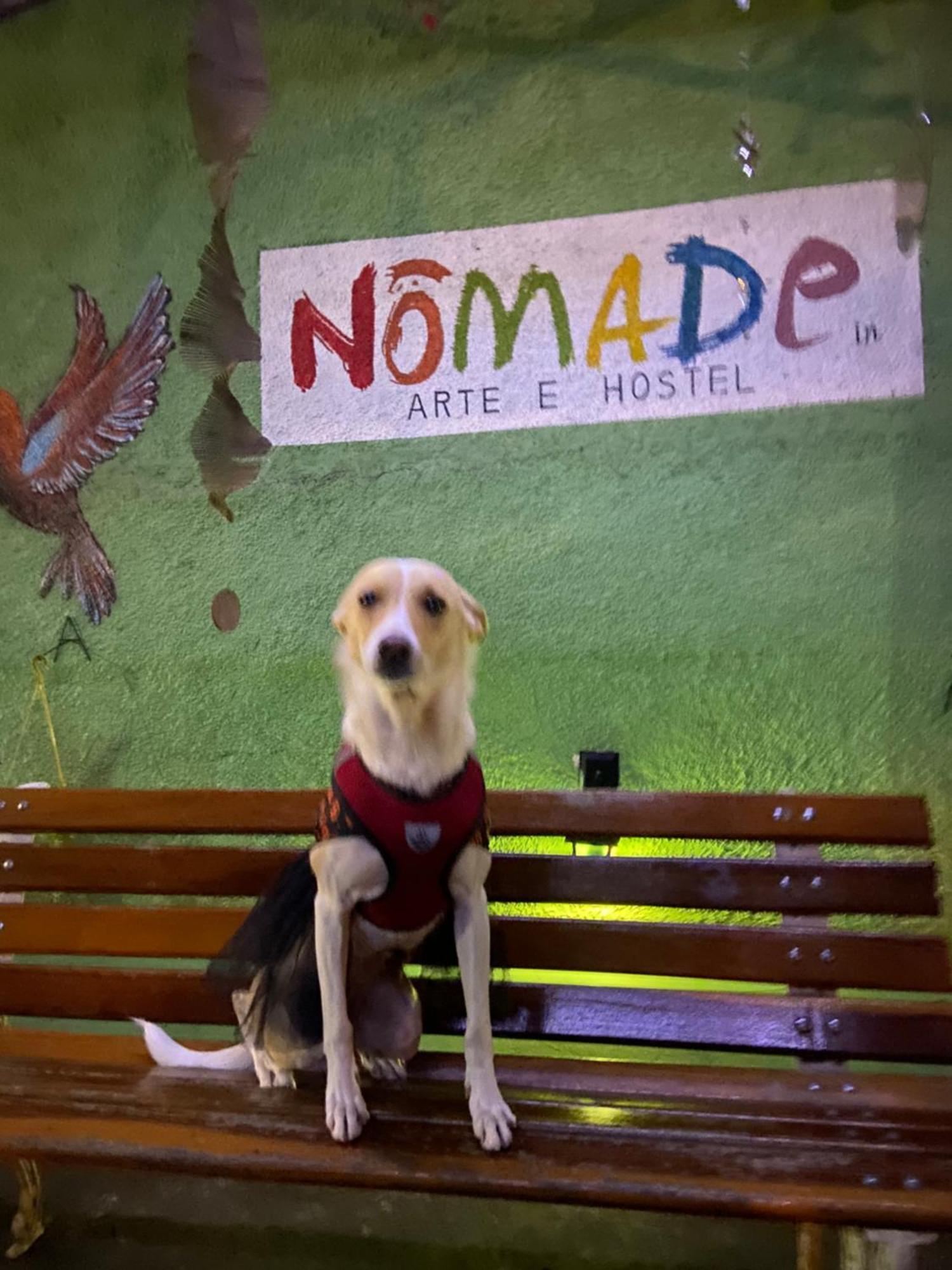 Nomade In Arte E Hostel São Paulo Eksteriør billede